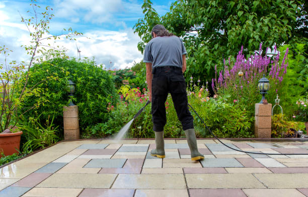 Best Fence Cleaning  in Niceville, FL